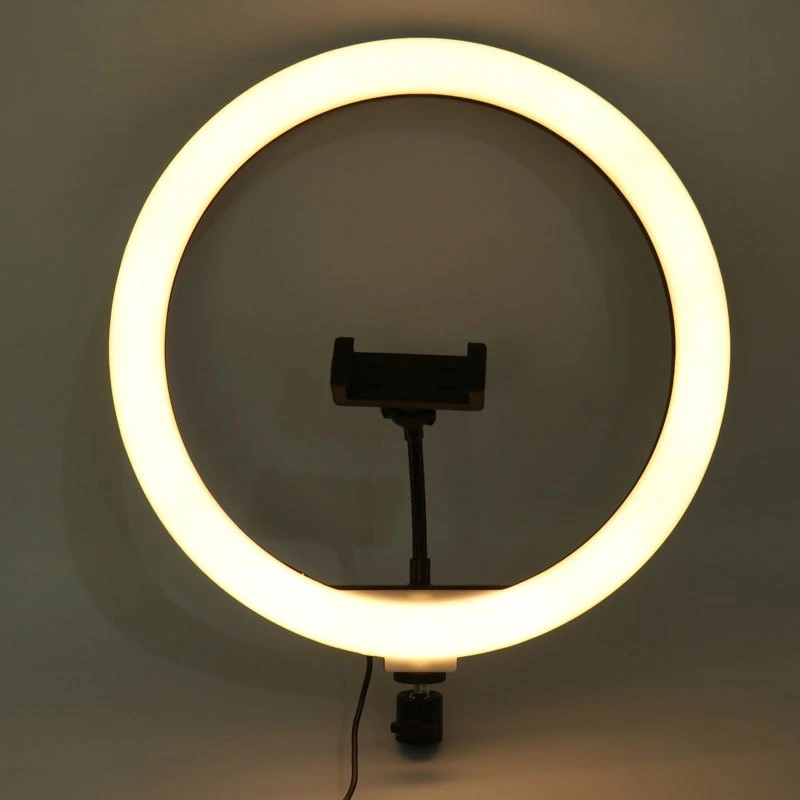 رینگ لایت 13 اینچ Ring Fill Light BD-330