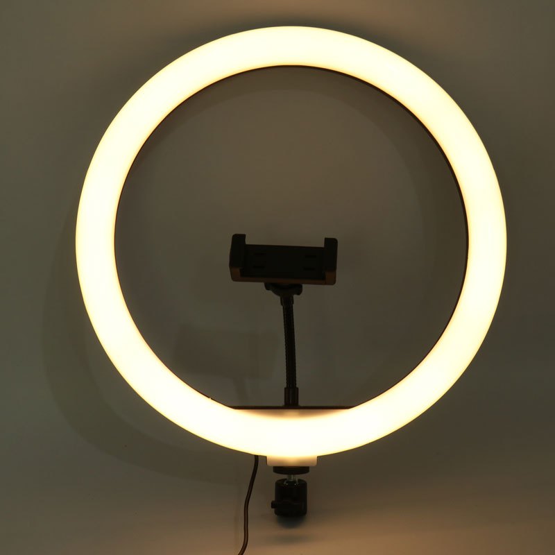 رینگ لایت 13 اینچ Ring Fill Light BD-330