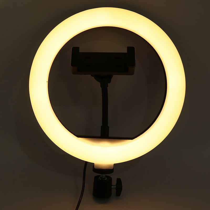 رینگ لایت 8 اینچ RING FILL LIGHT 20-8