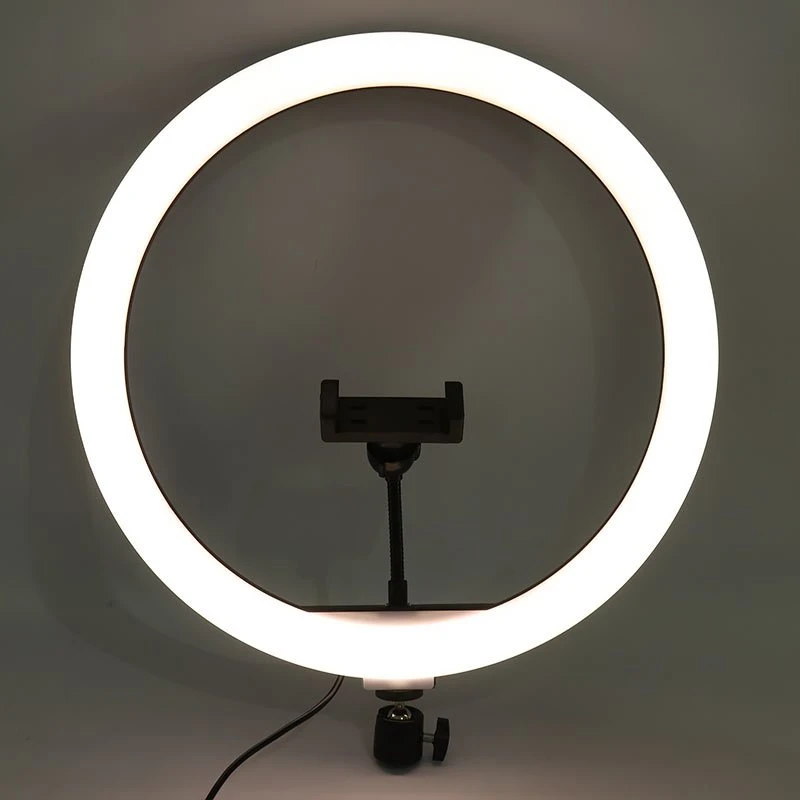 رینگ لایت 14 اینچ RGB LED MJ36
