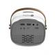ویدئو پروژکتور پرووان ProOne PGV300