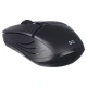 موس بی سیم فنتک GO W605