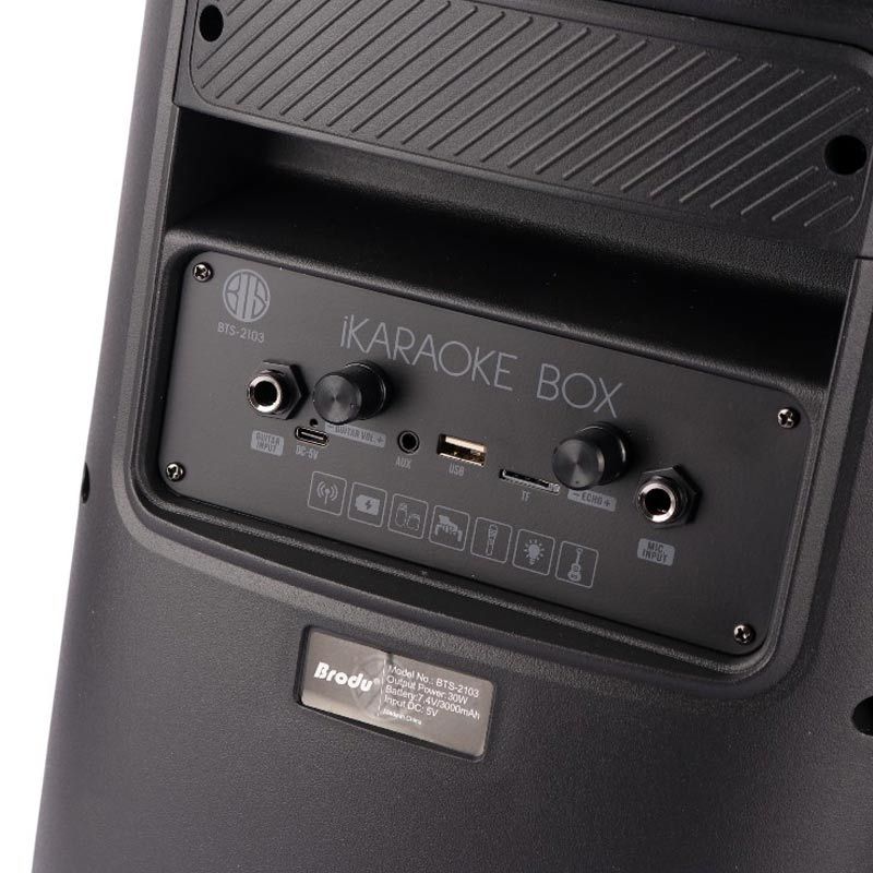 اسپیکر بلوتوثی برودو BTS-2103 + میکروفون