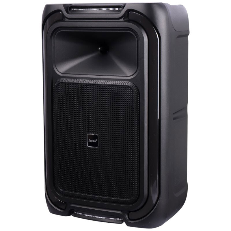 اسپیکر چمدانی بلوتوثی برودو BTS-1890 + میکروفون