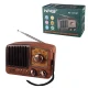 رادیو اسپیکر بلوتوثی رم و فلش خور NNS NS-3381BT