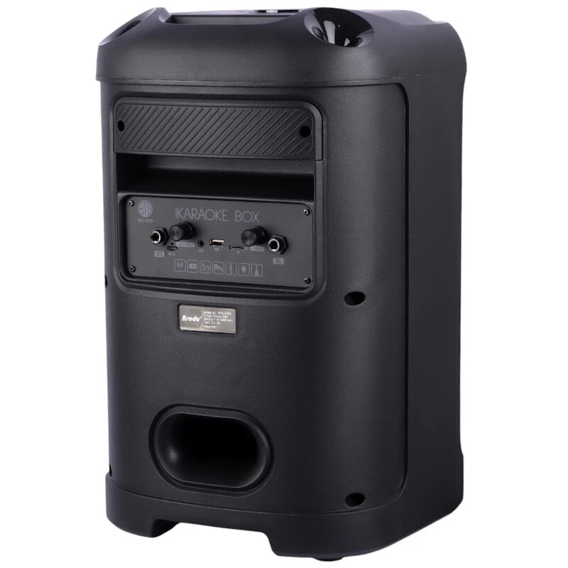 اسپیکر بلوتوثی برودو BTS-2105 + میکروفون