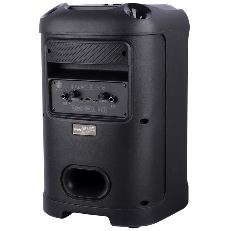 اسپیکر بلوتوثی برودو BTS-2105 + میکروفون