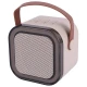 اسپیکر بلوتوثی Colorful Karaoke Sound System + میکروفون
