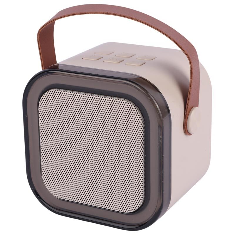 اسپیکر بلوتوثی Colorful Karaoke Sound System + میکروفون
