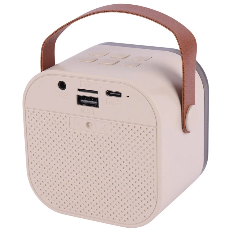 اسپیکر بلوتوثی Colorful Karaoke Sound System + میکروفون