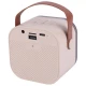 اسپیکر بلوتوثی Colorful Karaoke Sound System + میکروفون