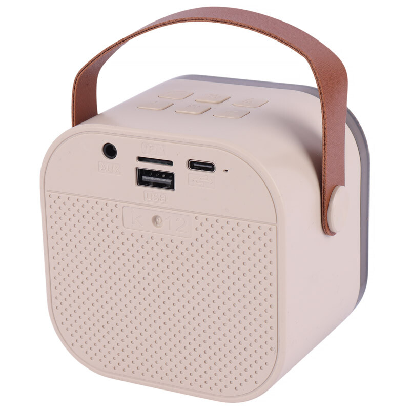 اسپیکر بلوتوثی Colorful Karaoke Sound System + میکروفون