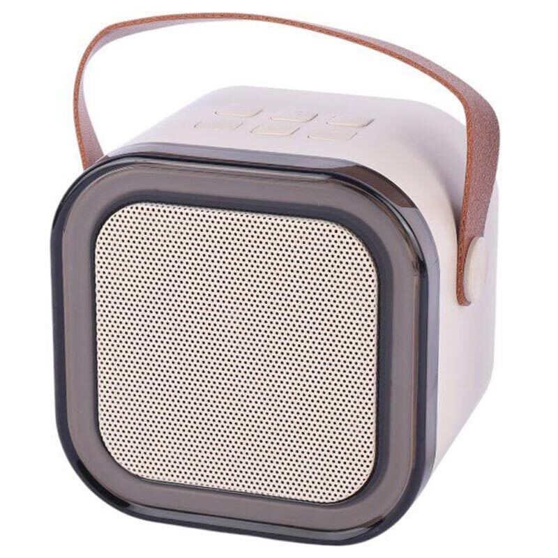 اسپیکر بلوتوثی Colorful Karaoke Sound System + میکروفون