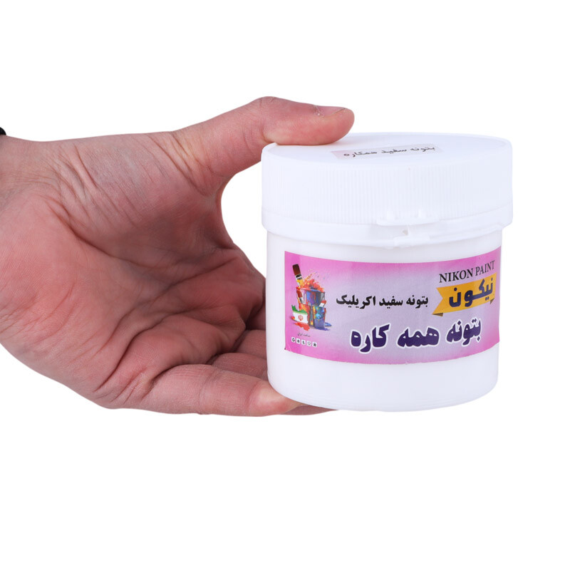 بتونه همه کاره Nikon Paint 250gr