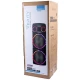 اسپیکر خانگی ایستاده Verity VS-1243 + میکروفون و ریموت کنترل
