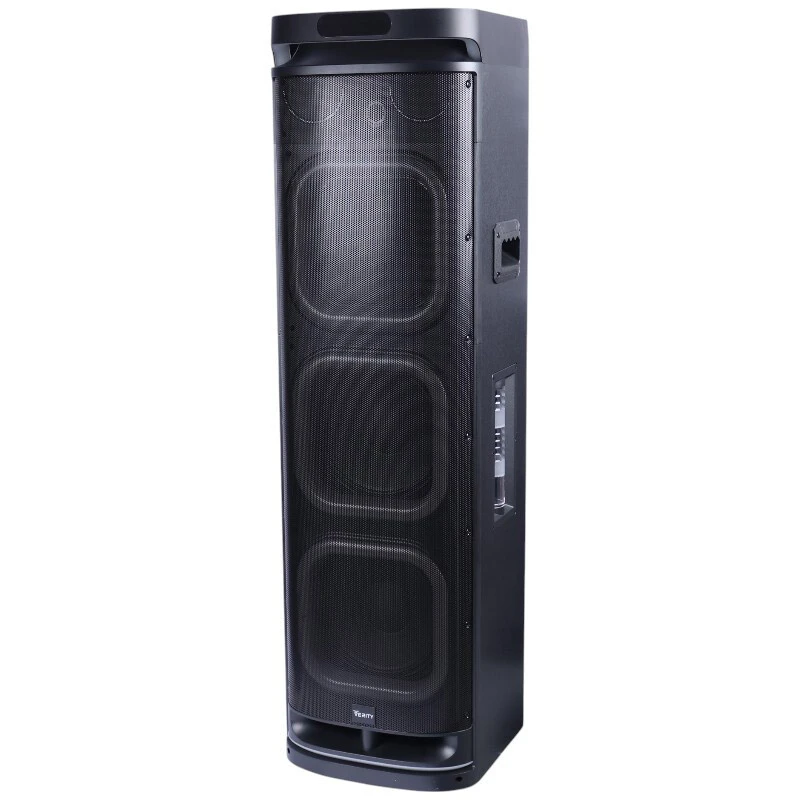 اسپیکر خانگی ایستاده Verity V-PS3010 + میکروفون و ریموت کنترل