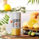 آبمیوه گیری شارژی پرودو PD-LSSJ55