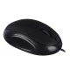 موس دیتالایف M01