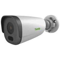 دوربین مداربسته تحت شبکه تیاندی 2 مگاپیکسل TC-C32GS