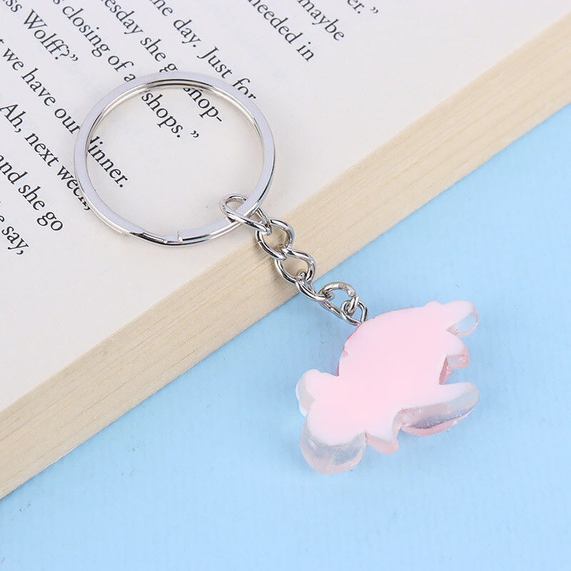 جاکلیدی رزینی لاک پشت