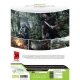 بازی Rambo گردو مناسب برای XBOX 360