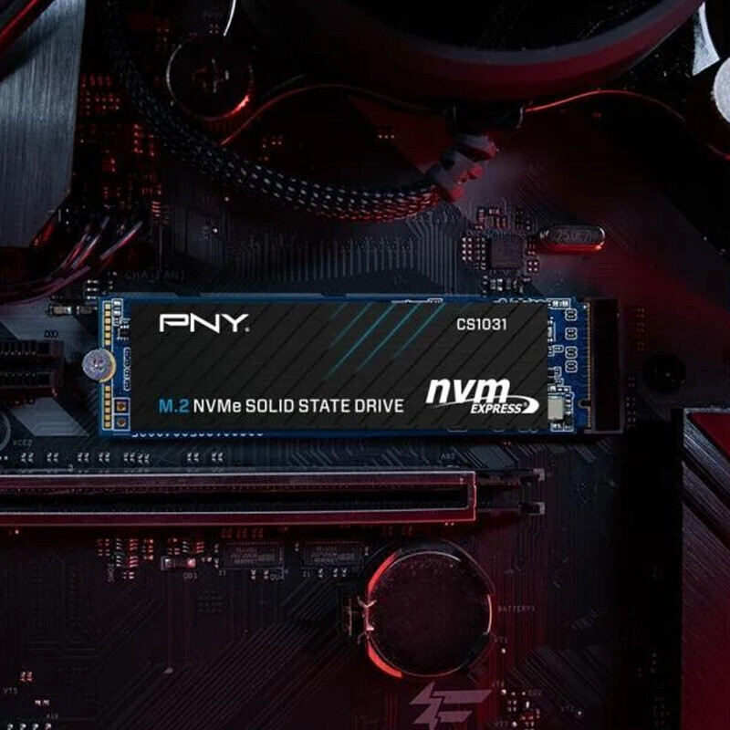 حافظه SSD پی ان وای PNY CS1031 500GB M.2