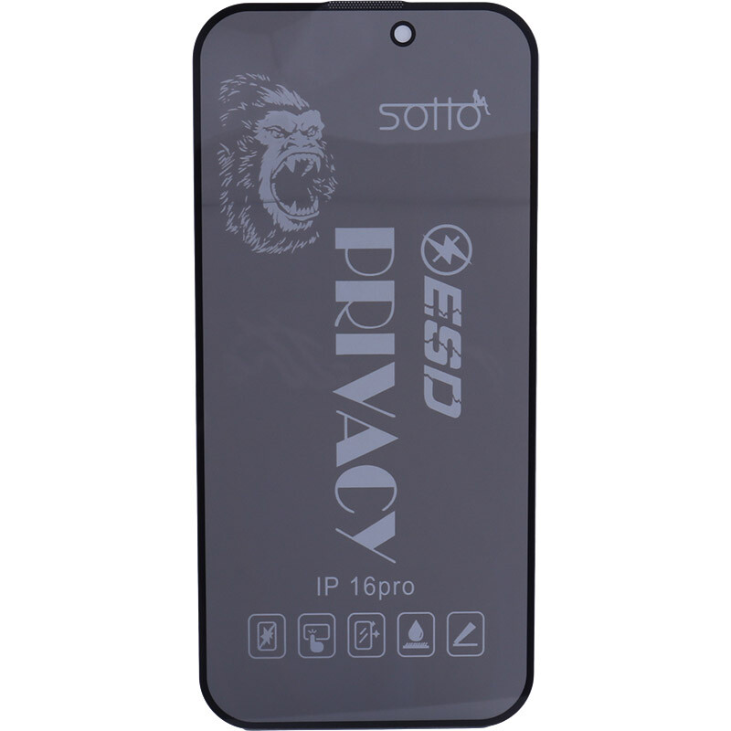 گلس پرایوسی آنتی استاتیک Sotto آیفون iPhone 16 Pro