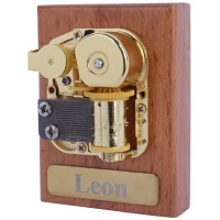 جعبه موزیکال کوکی ملودی Leon
