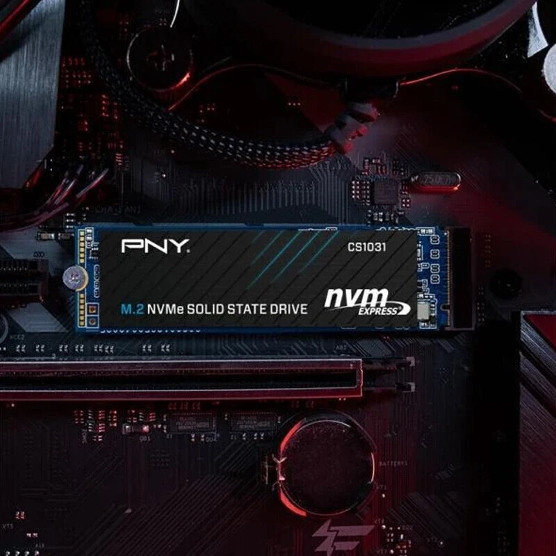 حافظه SSD پی ان وای PNY CS1031 256GB M.2