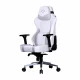 صندلی گیمینگ کولر مستر Cooler Master Caliber X2C CMI-GCX2C