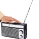 رادیو Panasonic RF-562DD2