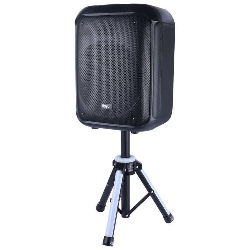 اسپیکر بلوتوثی رویال Partybox RSP-1210 + میکروفون و ریموت کنترل