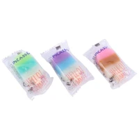 پاک کن فانتزی پیکاسو ER-24-IC بسته 24 عددی