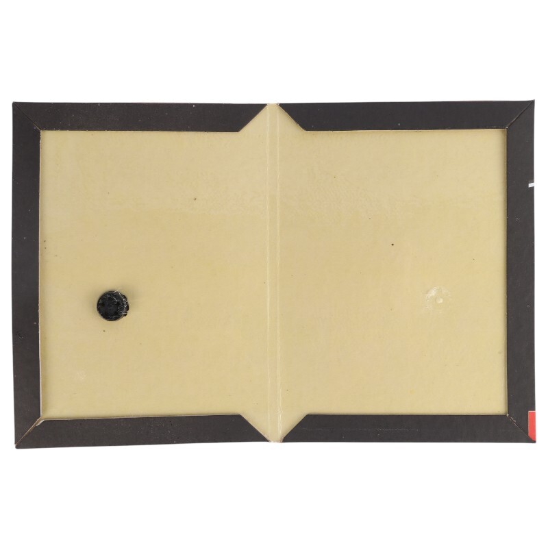 چسب تله موش کتابی Green Light