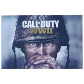 تابلو شاسی 20*30 Call Of Duty WWII