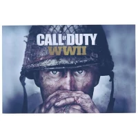 تابلو شاسی 20*30 Call Of Duty WWII