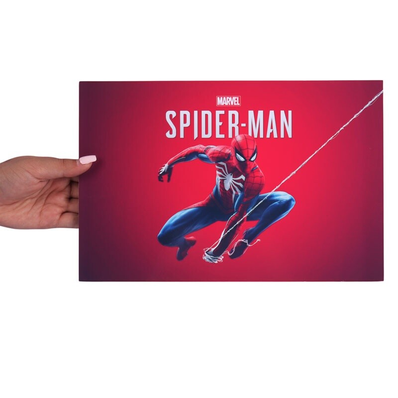 تابلو شاسی 20*30 Spider-Man کد 2