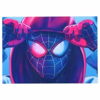 تابلو شاسی 13*18 Spider-Man