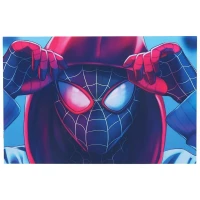 تابلو شاسی 20*30 Spider-Man