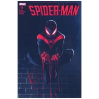 تابلو شاسی 20*30 Spider-Man کد 4