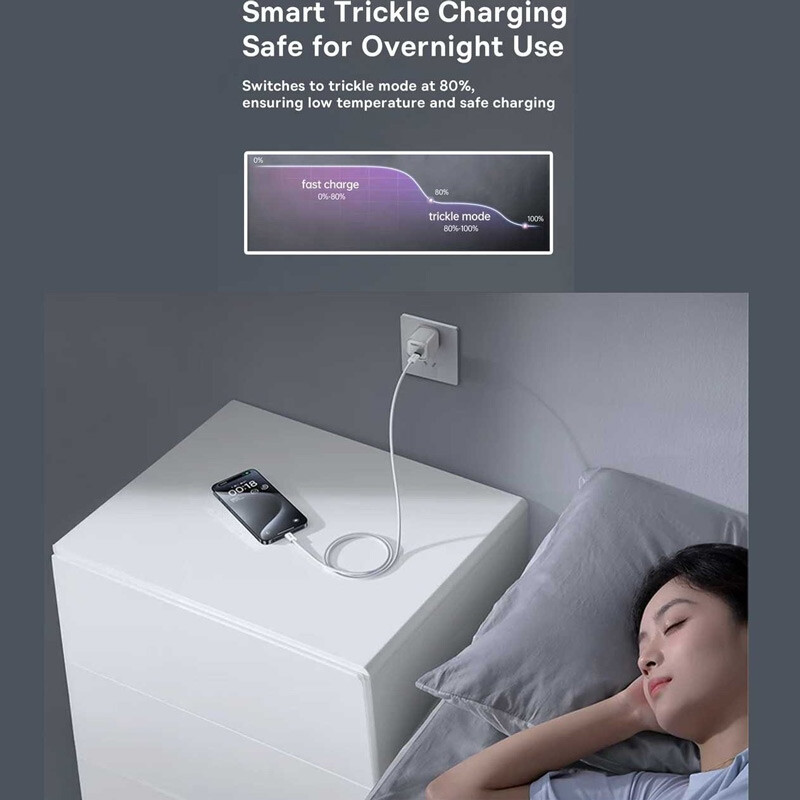 کابل دو سر تایپ سی فست شارژ 100 وات باسئوس P10381400111 طول 1 متر