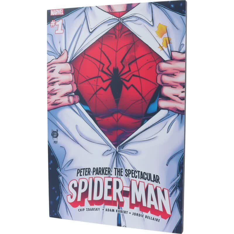 تابلو شاسی 20*30 Spider-Man کد 5