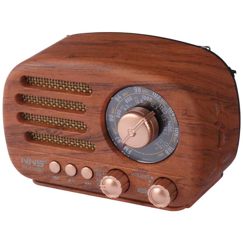 رادیو اسپیکر بلوتوثی ان ان اس NS-8100BT