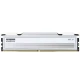 رم کامپیوتر کلو FIT V White DDR5 32GB Dual 6400MHz CL32