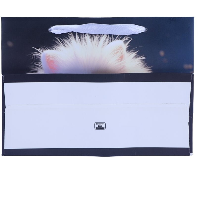 ساک دستی مقوایی کد 50101