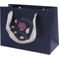 ساک دستی مقوایی کد 50119