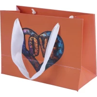 ساک دستی مقوایی کد 50130