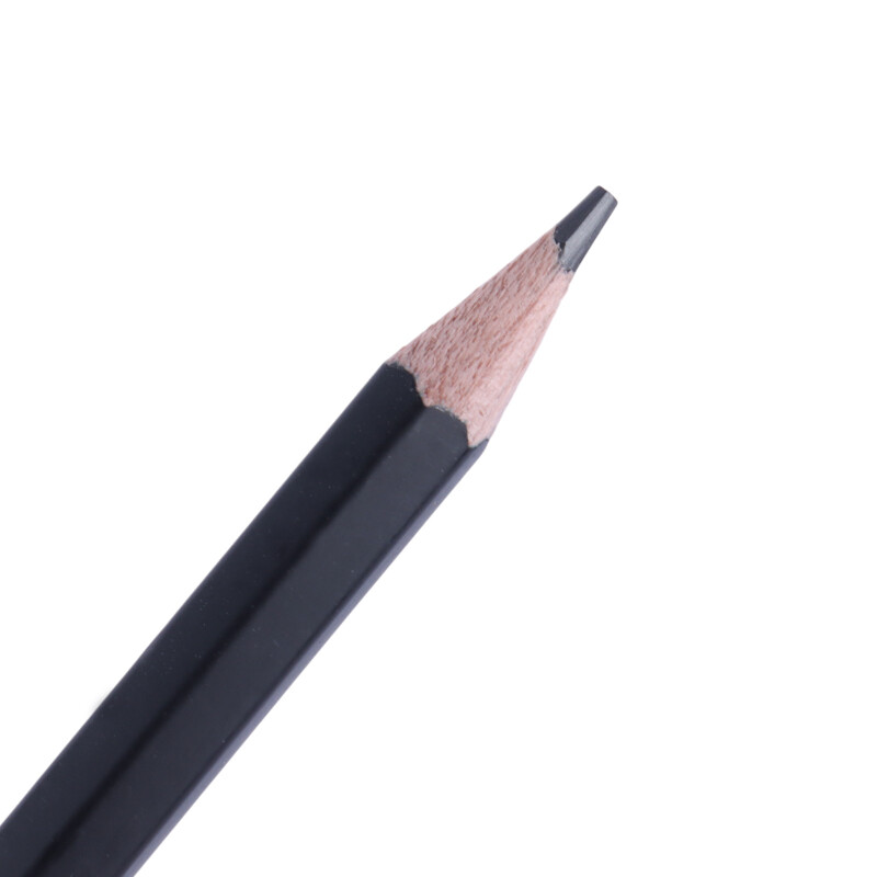 مداد طراحی پانی Pani P-10 4B