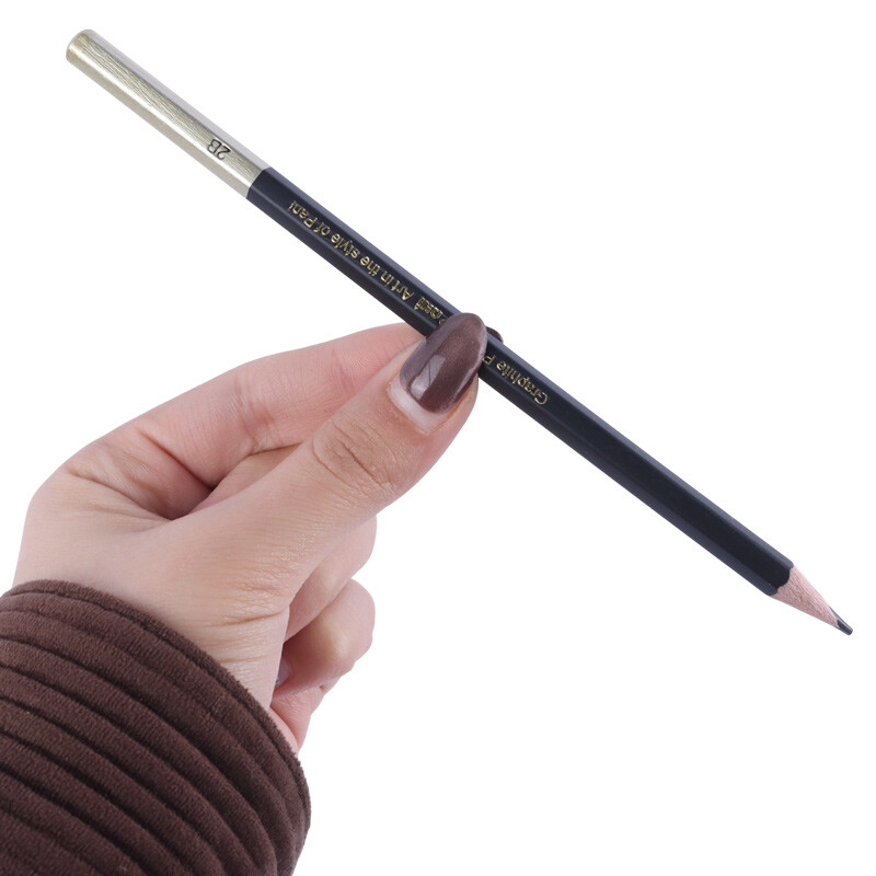 مداد طراحی پانی Pani P-09 2B