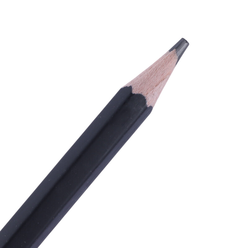 مداد طراحی پانی Pani P-11 6B